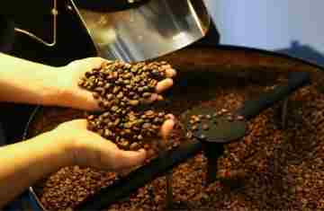  Exportadores querem incluir café na lista de exceções dos EUA 
